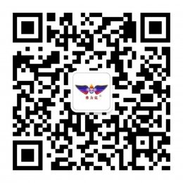 史上 最全 最詳細(xì) 汽車(chē)保